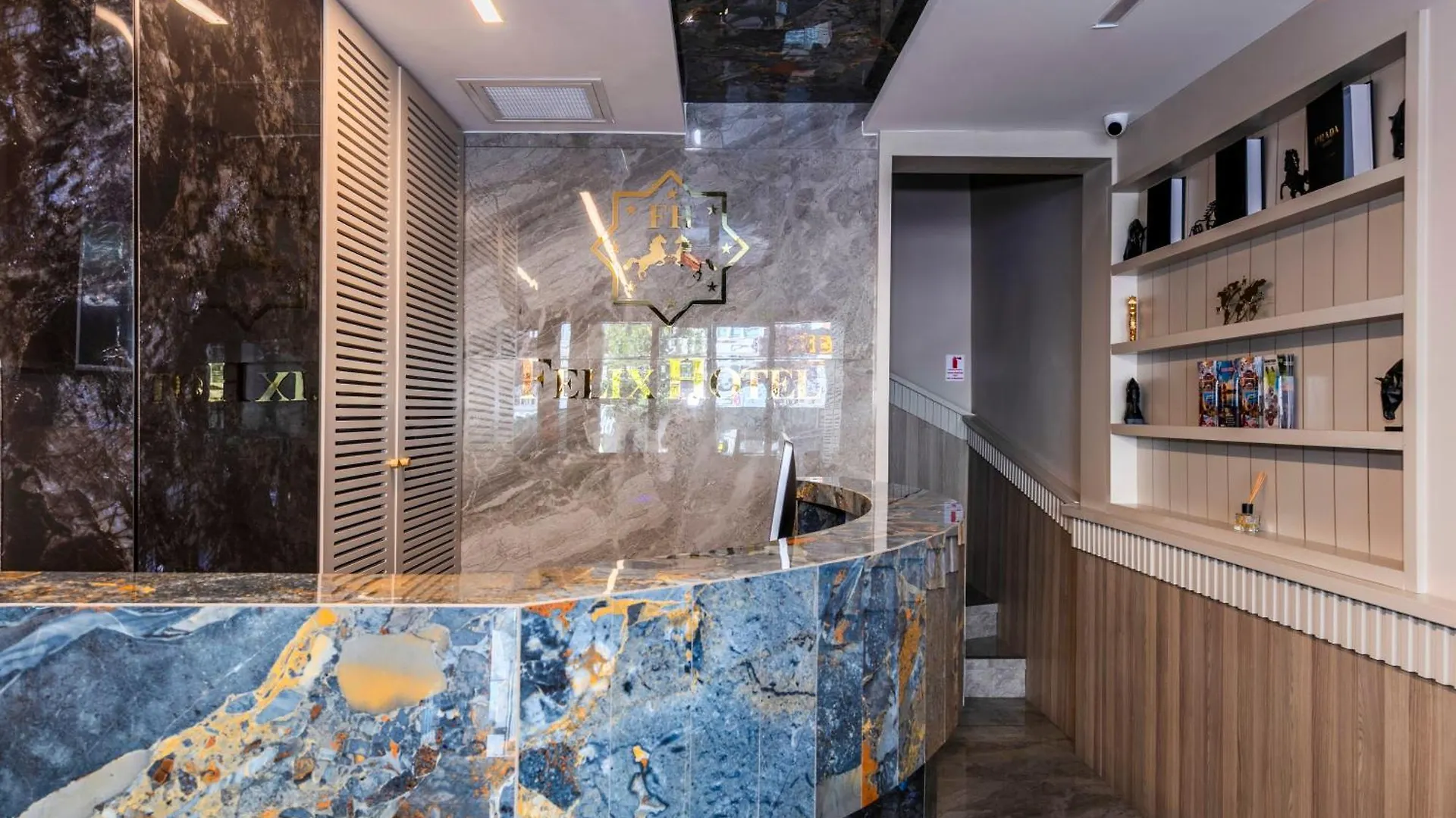 Felix Hotel Istanbul Turkiet